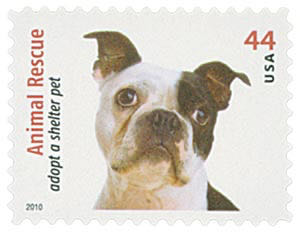 4459 Animal Rescue: Adopt a Shelter Pet — Boston Terrier  stamp collectible - Main Image 1