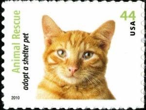 4460 Animal Rescue: Adopt a Shelter Pet — Orange Tabby Cat stamp collectible - Main Image 1