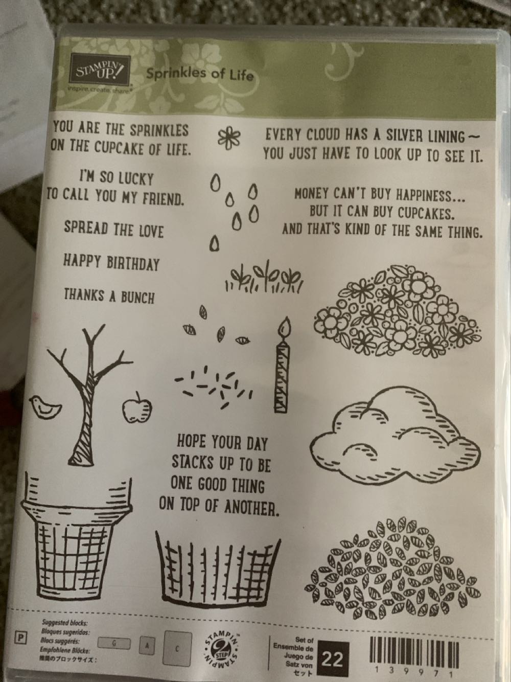 I Found My Family In A Book