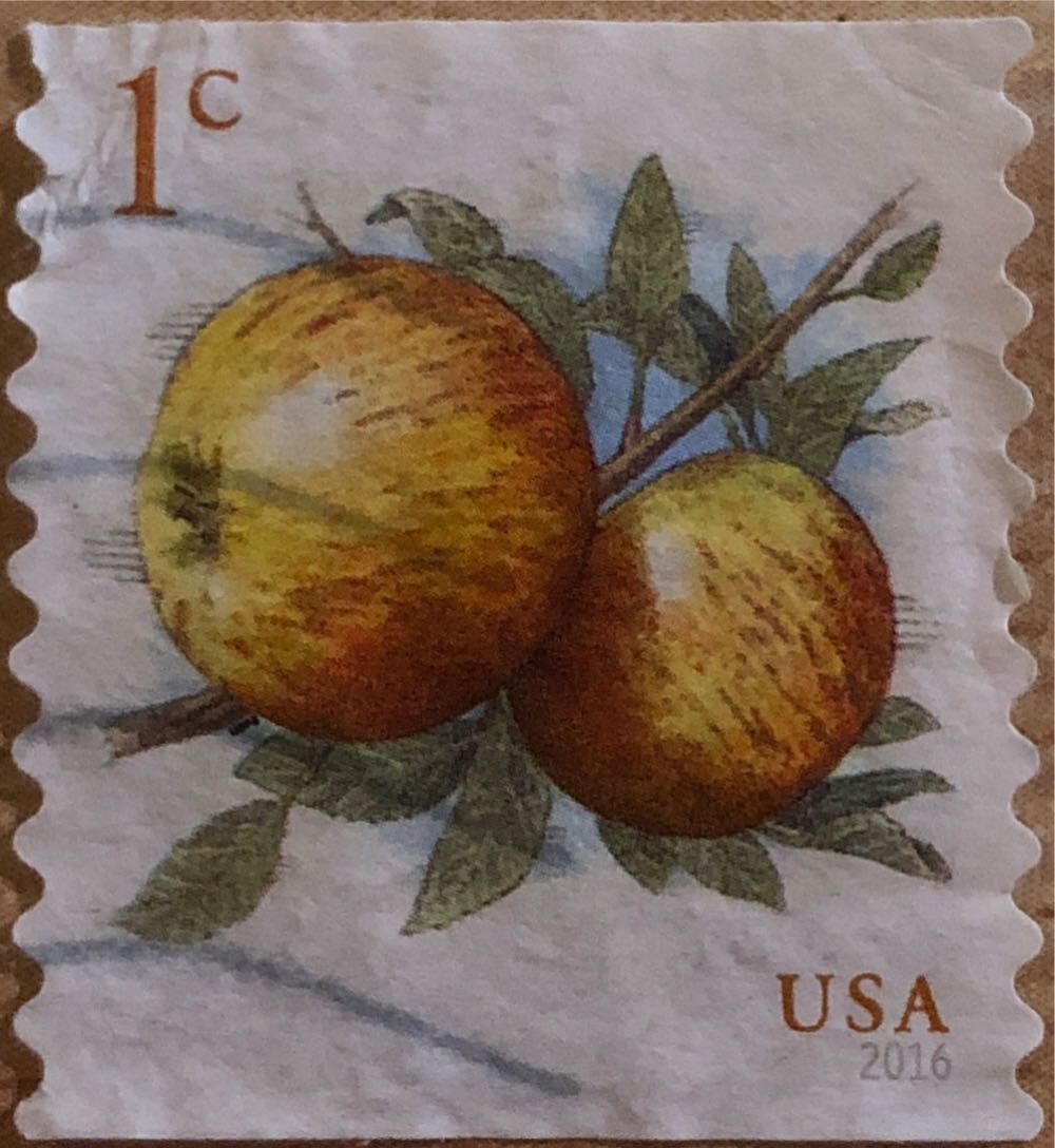 USA Apples 1¢  stamp collectible - Main Image 2