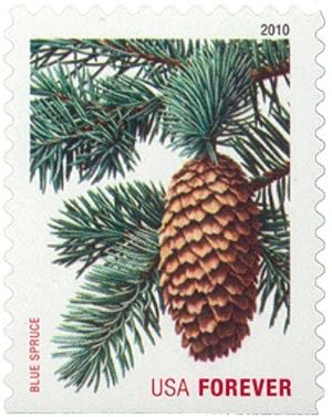 Ten Years Media Training