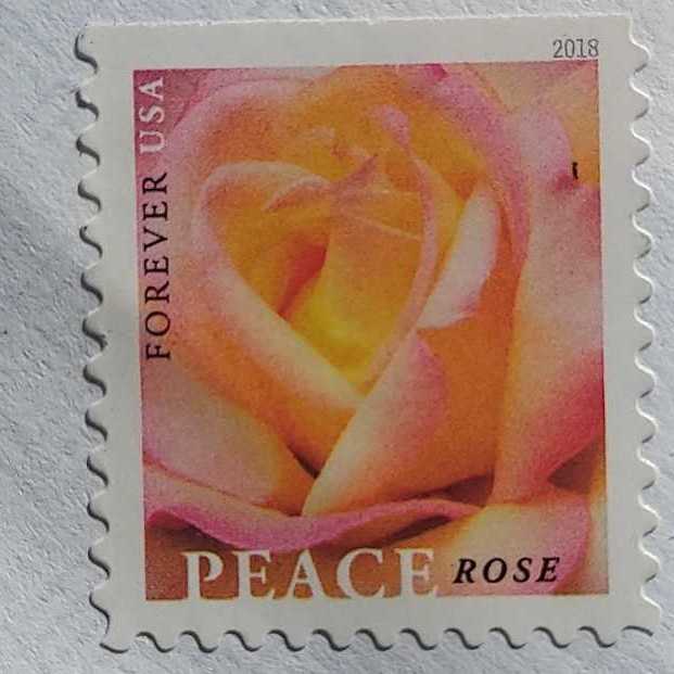 Peace Rose  stamp collectible - Main Image 2