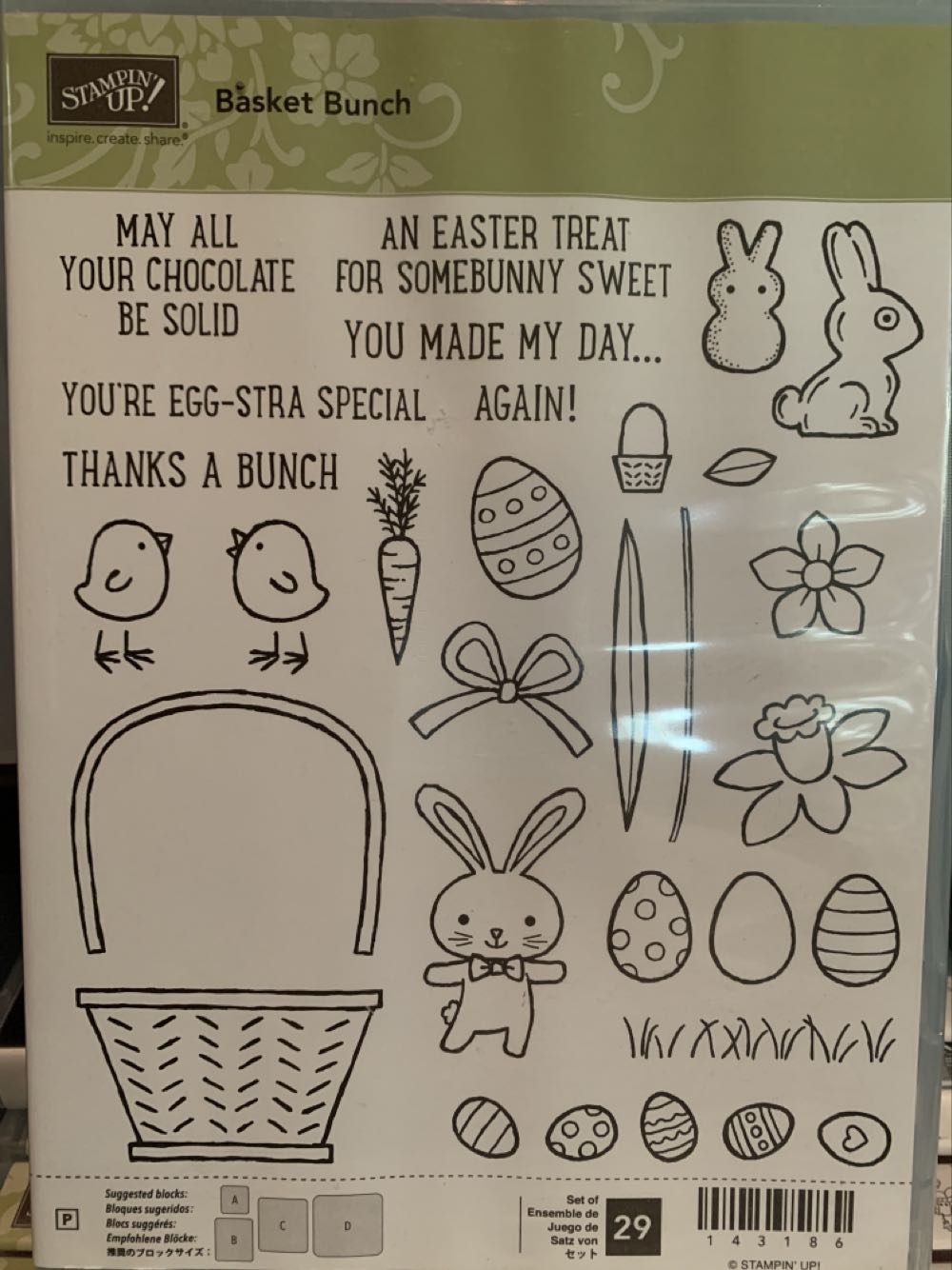 Blue Rabbit Bandicoot