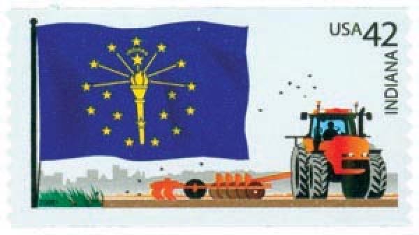 Hummingbirds: Costa’s