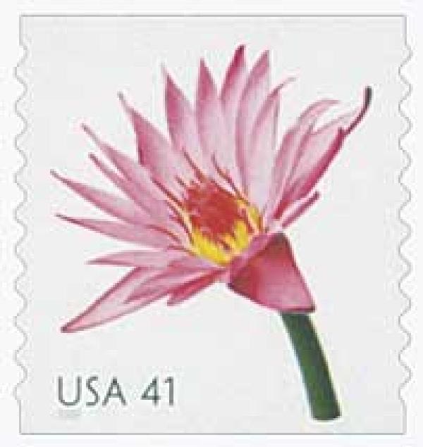 Charlie Brown Christmas, A