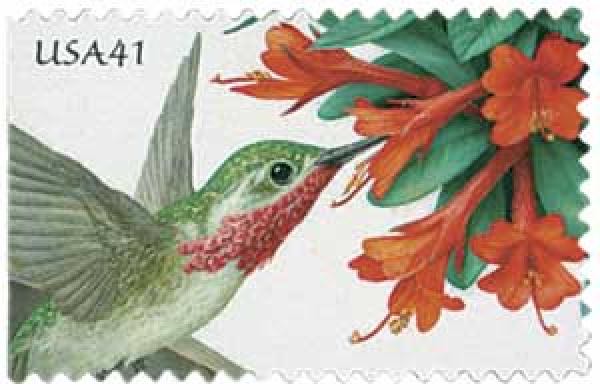 Legends Of American Music: Bill Haley