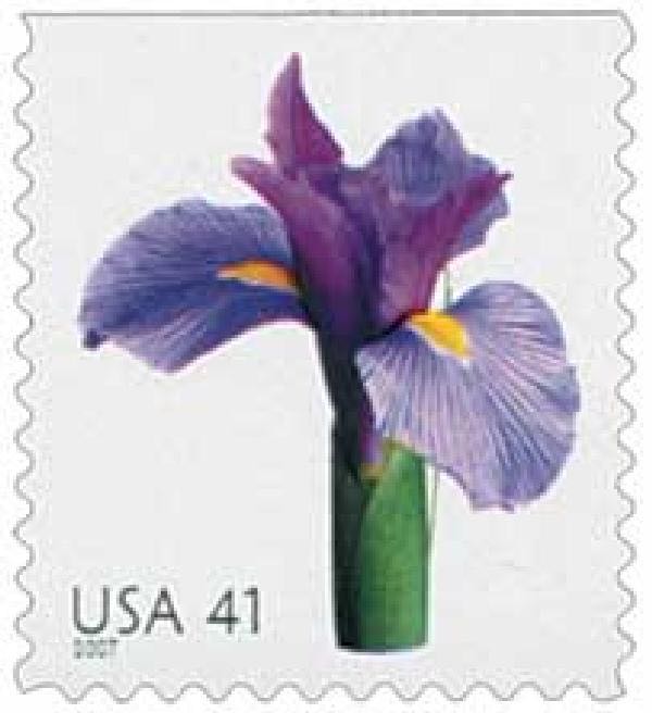 Contemporary Christmas: Deer With Horn