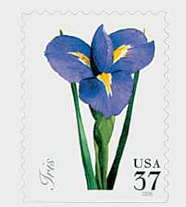 Dare 2b Artzy Otterly Awesome Clear Cling Rubber Stamp Set 19280