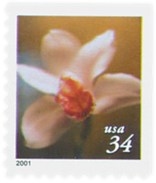 Beautification Of America: Plant For More Beautiful Highways