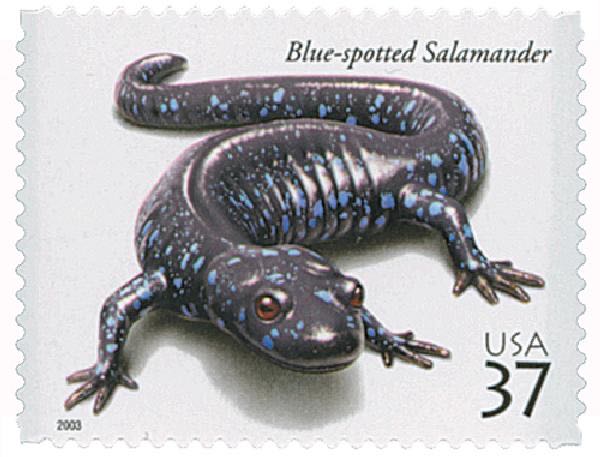 Mineral Heritage: Amethyst