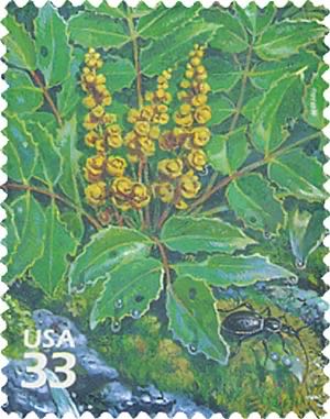 Ex Conventos De Jesuitas