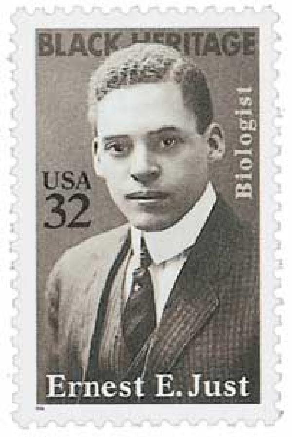 Beautiful Blooms: Water Lily