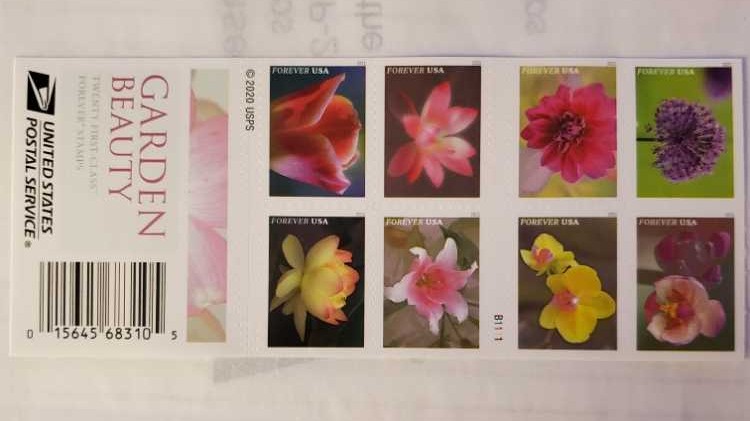 Disney Characters: Jiminy Cricket And Pinocchio