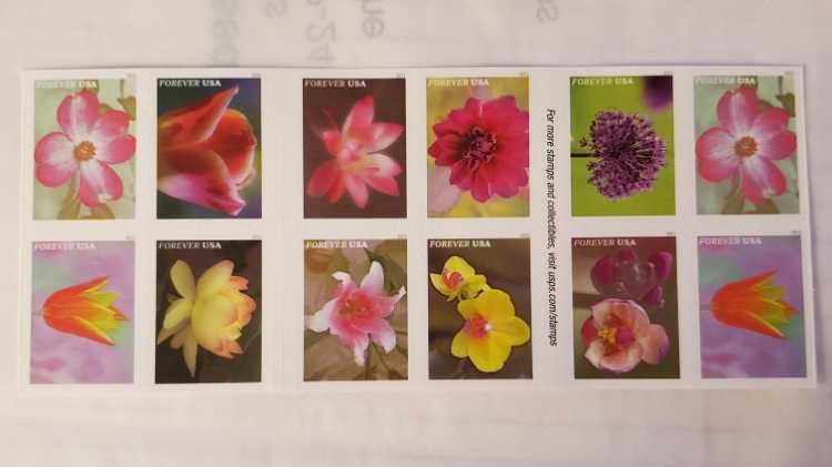 Garden Beauty   stamp collectible [Barcode 015645683105] - Main Image 2