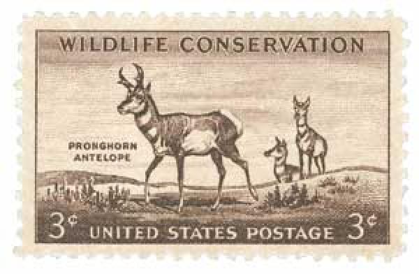 Dxent 746 Control Cable For Mtd 946 Troy Bilt Tb120 Tb270es Tb280es Tb542 Tb566 Craftsman Bolens Yard Machines Huskee Lawn Mower