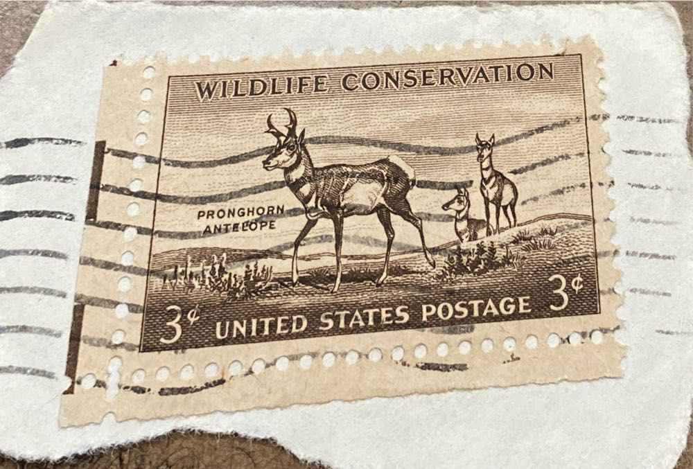 Wildlife Conservation: Pronghorn Antelope  stamp collectible - Main Image 3