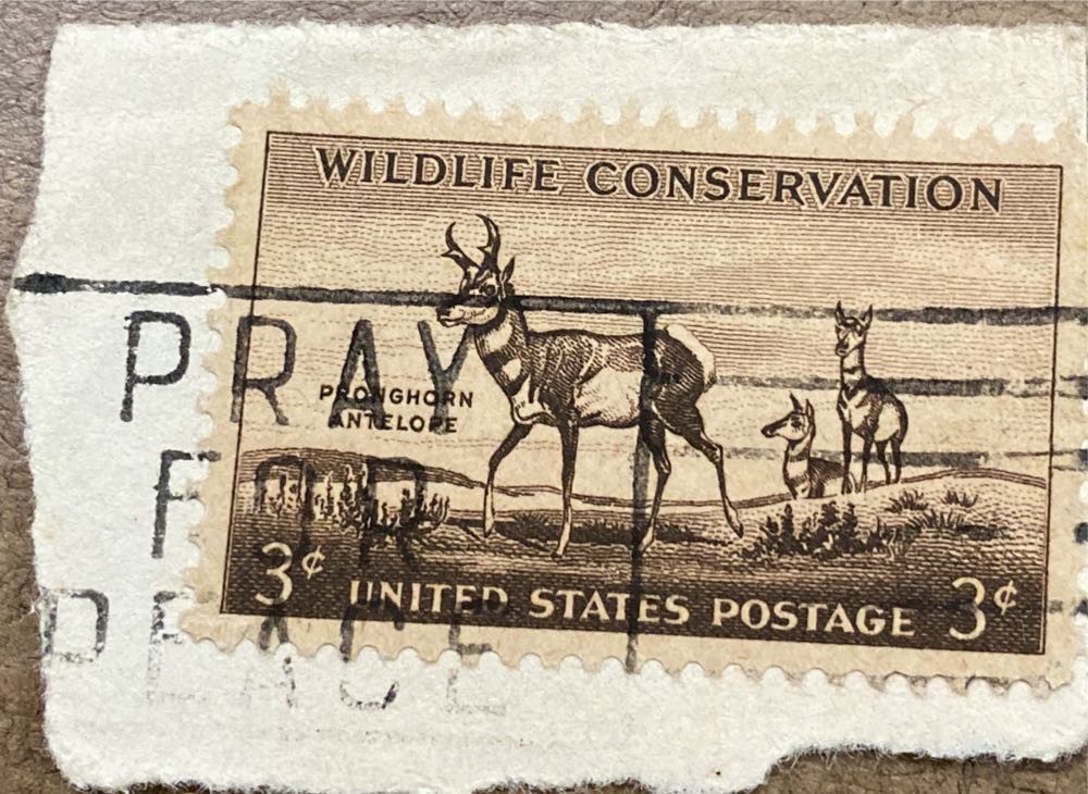 Wildlife Conservation: Pronghorn Antelope  stamp collectible - Main Image 4