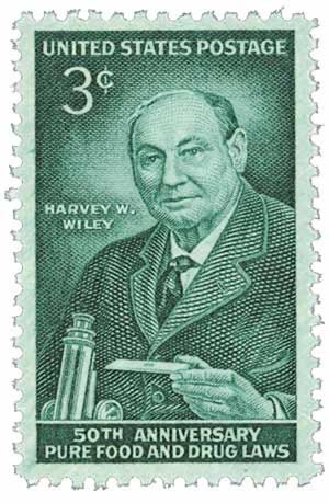 Winter Garden Flowers: Anemone