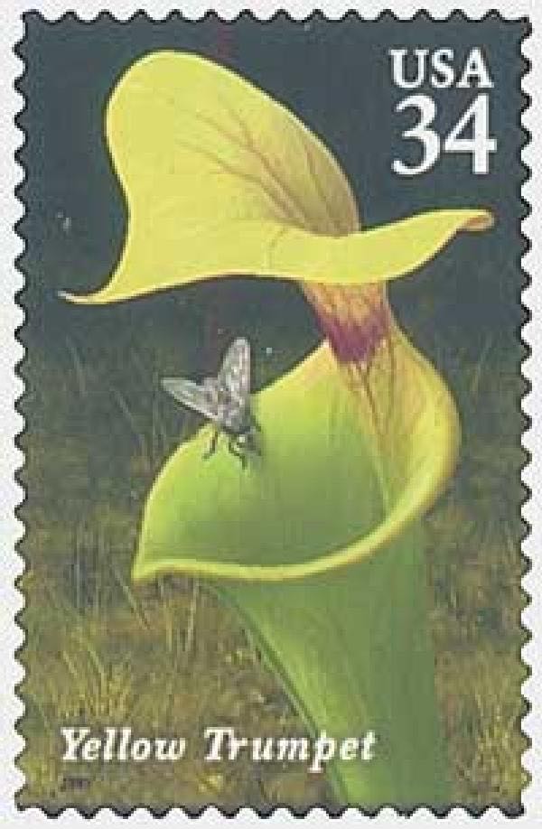 Vintage Ty Beanie Baby Butch Beanie Babies Butch Dog 9 Inch Mint With Tags