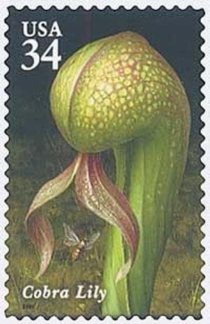 Flora And Fauna Series: Eastern Bluebird