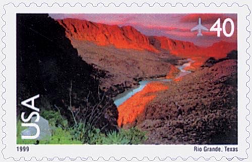 Cactus Flower: Pelecyphora Aselliformis