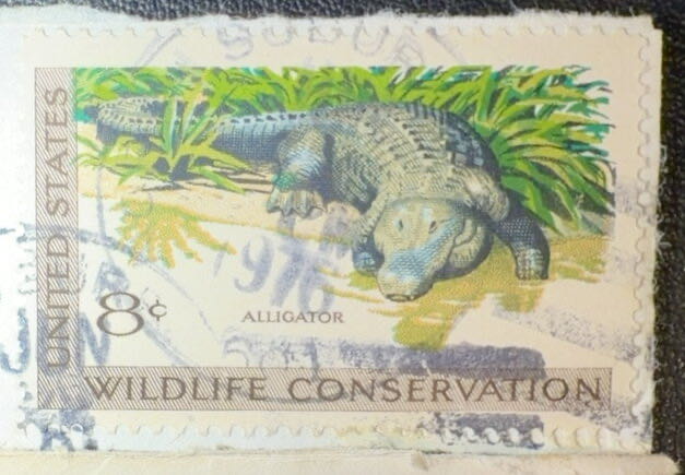 Wildlife Conservation: Alligator  stamp collectible - Main Image 2
