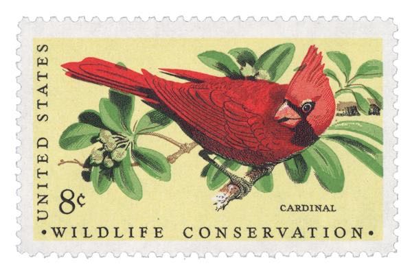 Arctic Explorers: Vilhjalmur Stefansson