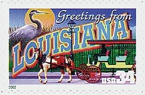 Coral Reefs: Elkhorn Coral