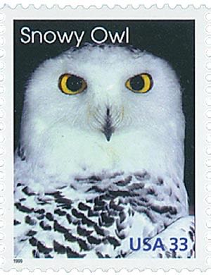 Doby New Ty Beanie Babies Doby Doberman Pinscher