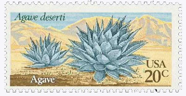 Wild and Scenic Rivers