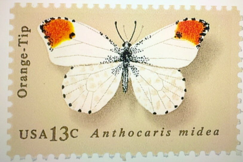 Butterflies: Orange Tip  stamp collectible - Main Image 2