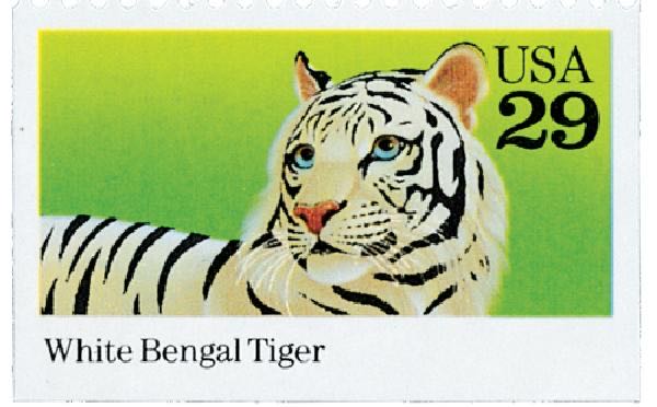 Wedding Series: Celebration Boutonniere