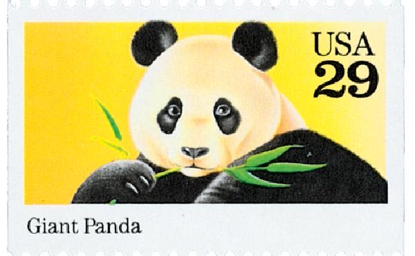 Summer Garden Flowers: Zinnia