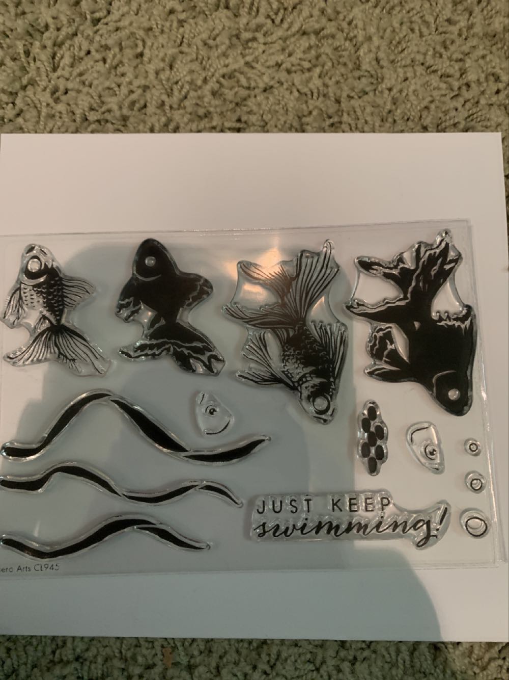 Grey Blue Flannel Flowers