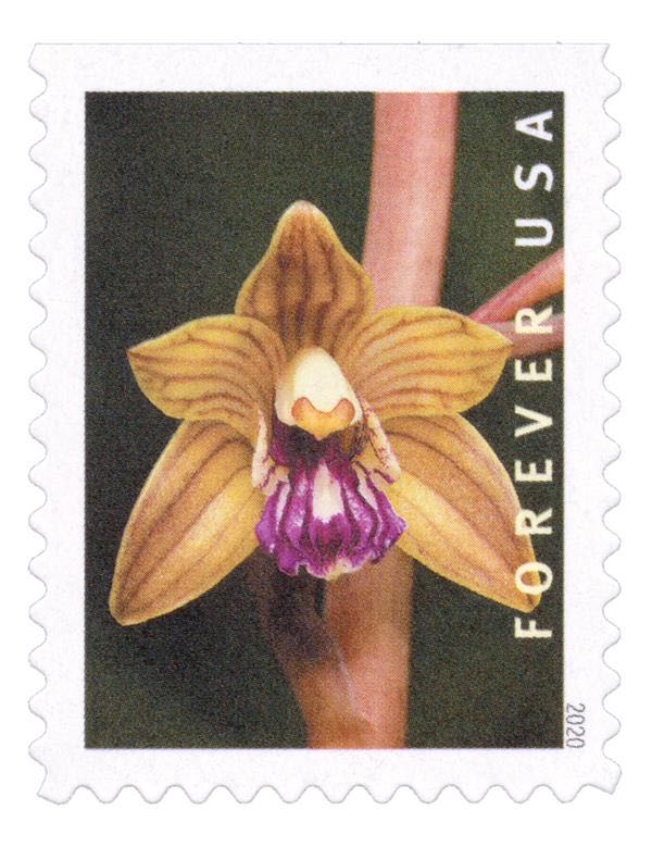 Contemporary Christmas: Gingerbread House With Orange Roof And Door