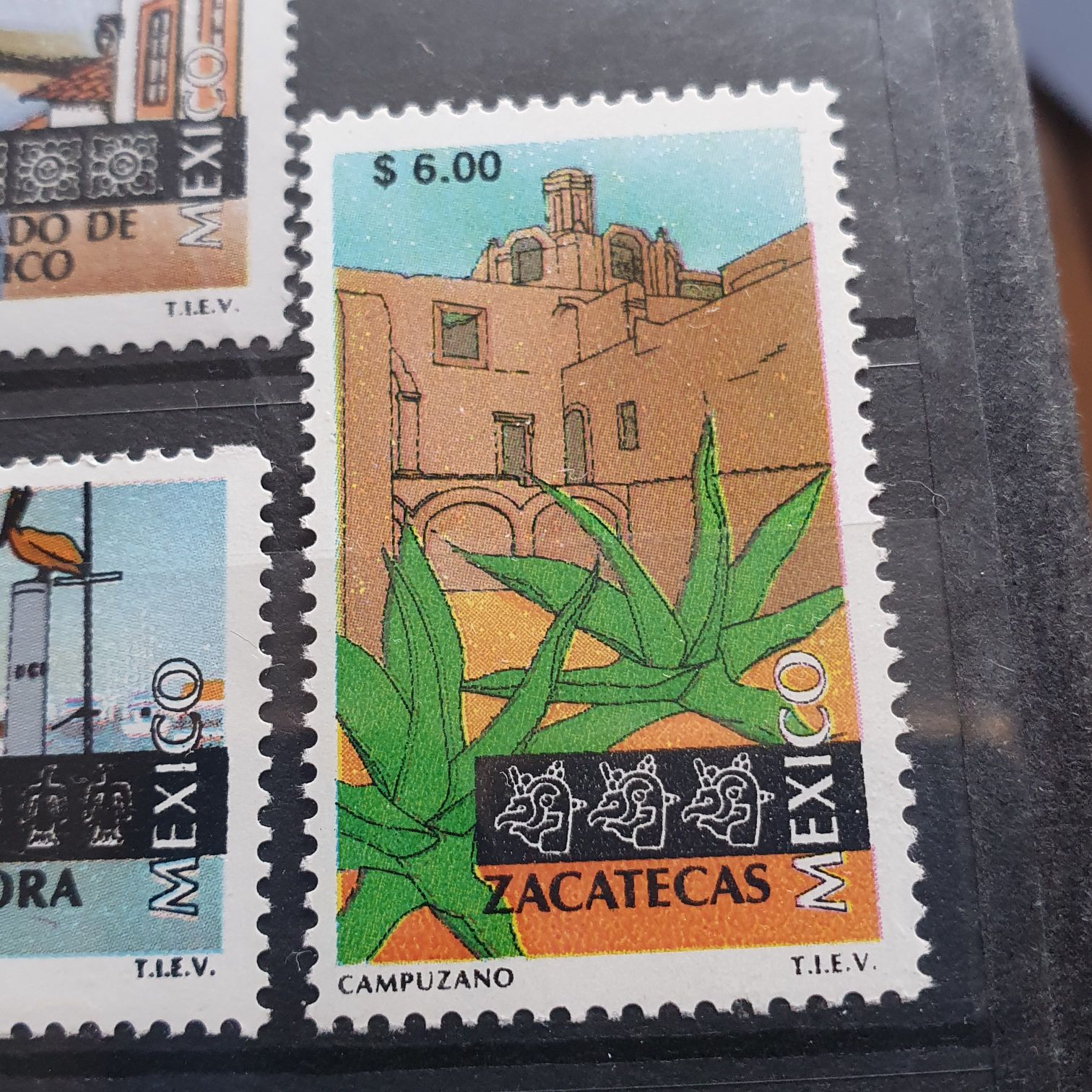 The House Of Windsor