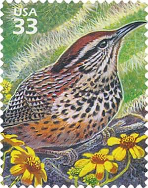 Postage Due: 1/2 Cents