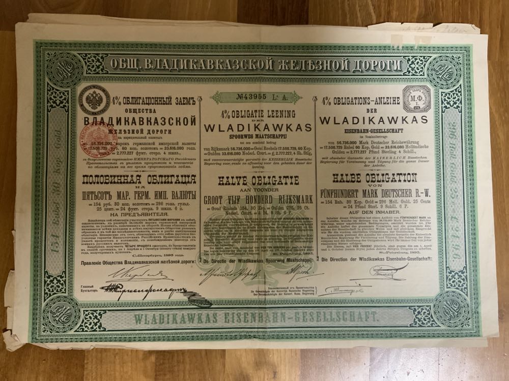 Winter Garden Flowers: Pansy