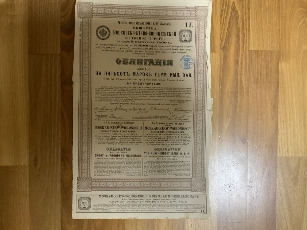 California Dogface Butterfly