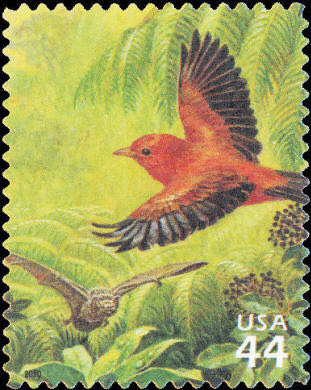 México Creación Popular