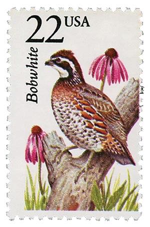 Parcel Postage Stamp