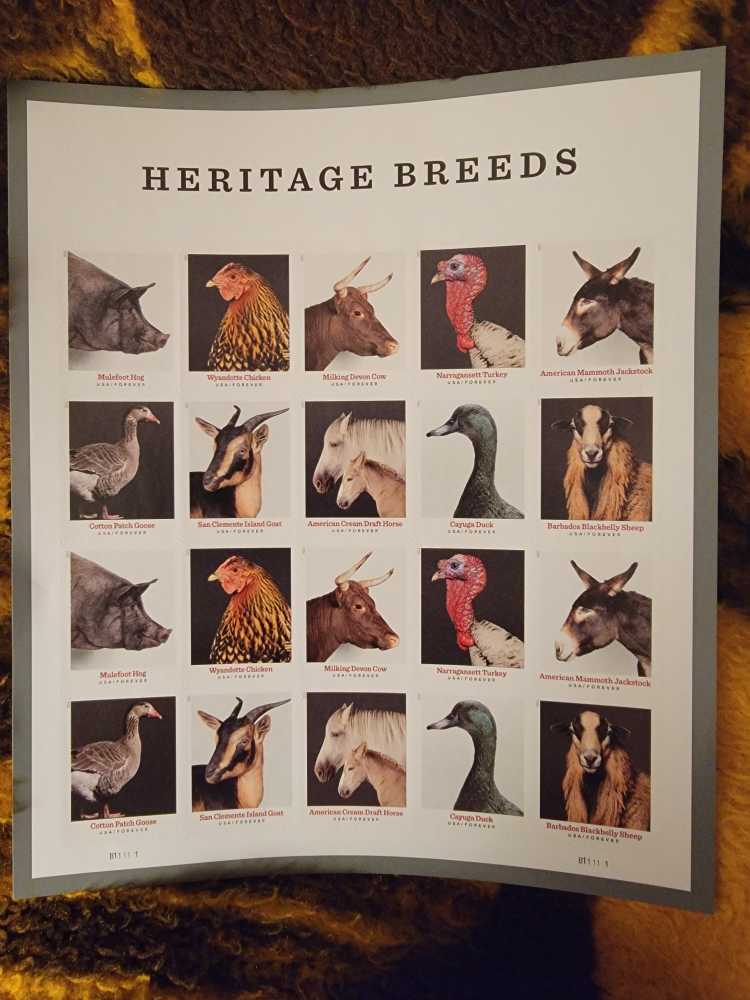 50th Annaversaty Of The Talking Picture 