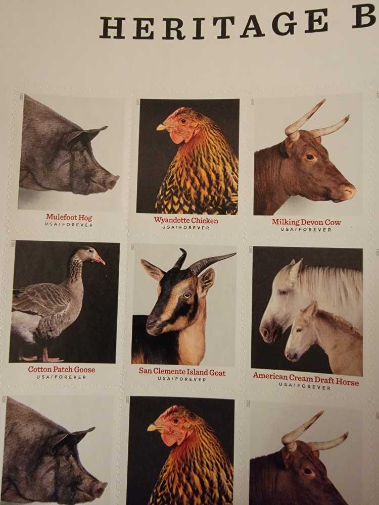Heritage Breeds  stamp collectible [Barcode 480400] - Main Image 2