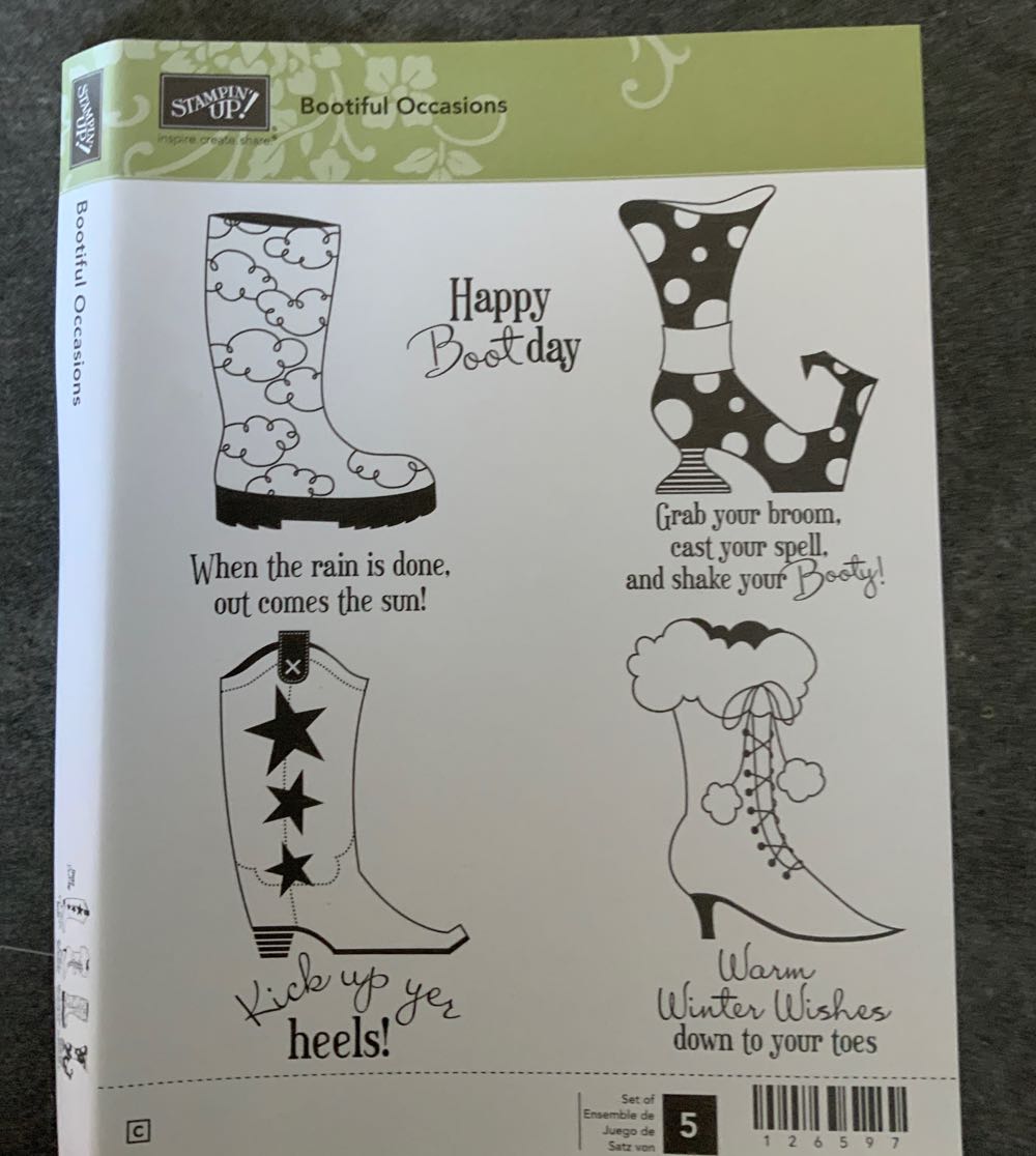 Dogs: Beagle And Boston Terrier