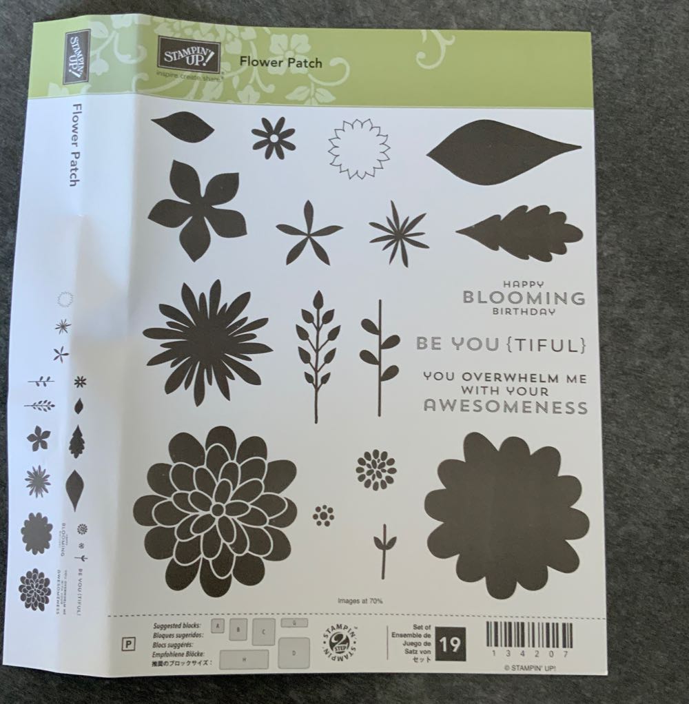 Ty Beanie Baby Freiherr Von Schwarz The Bear Germany Excl 8.5 Inch Mwmts