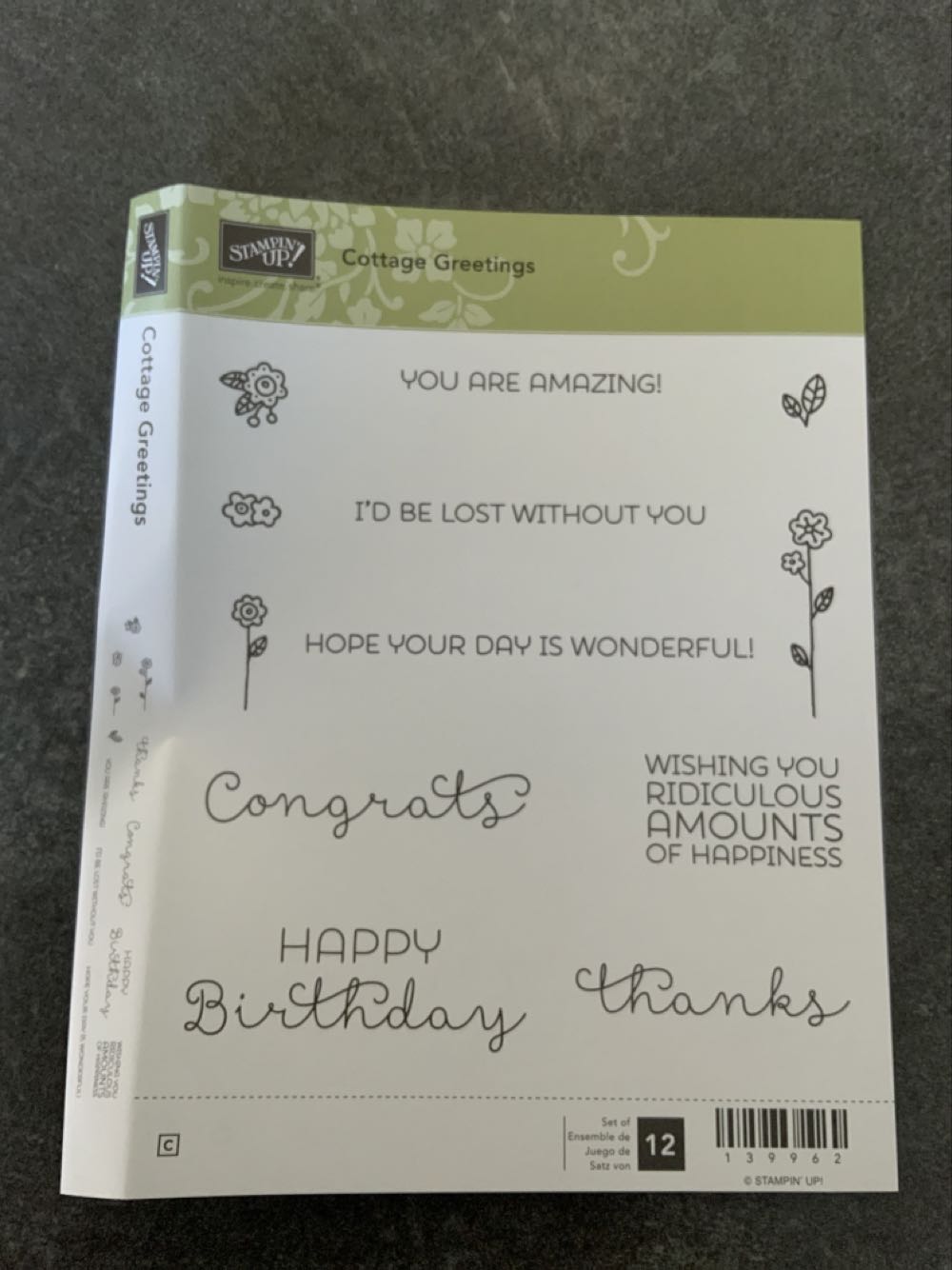 Beautiful Blooms: Chrysanthemum