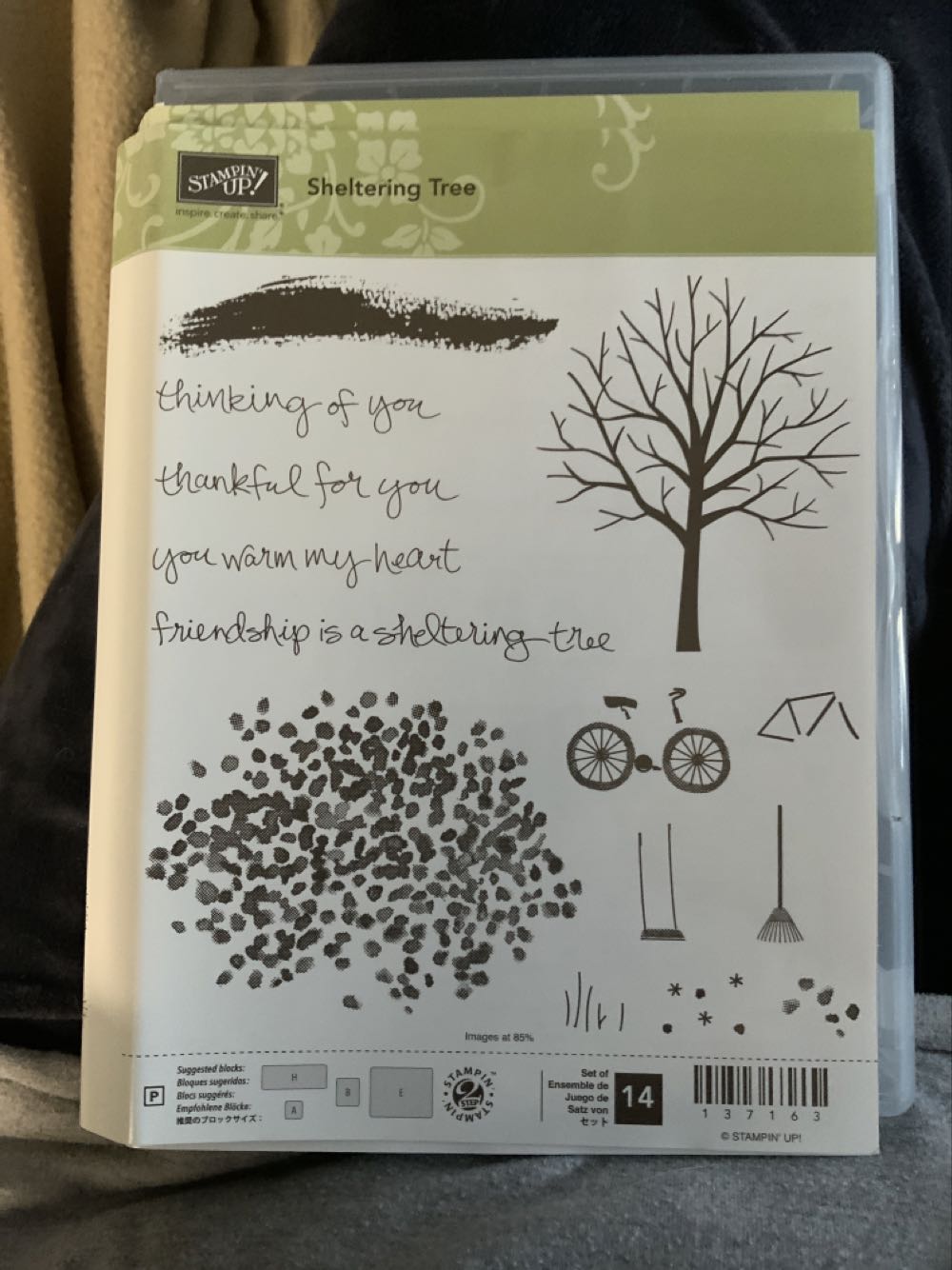 Ecstasy Of Santa Teresa