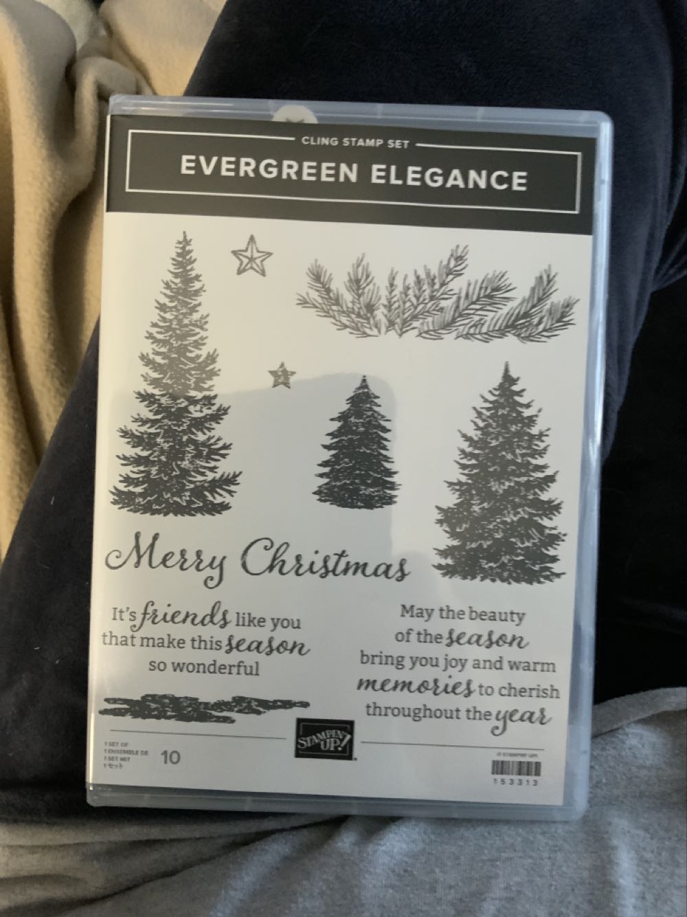 Winter Olympics 1980: Hockey