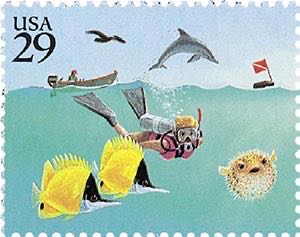 Orchids: Yellow Lady’s Slipper