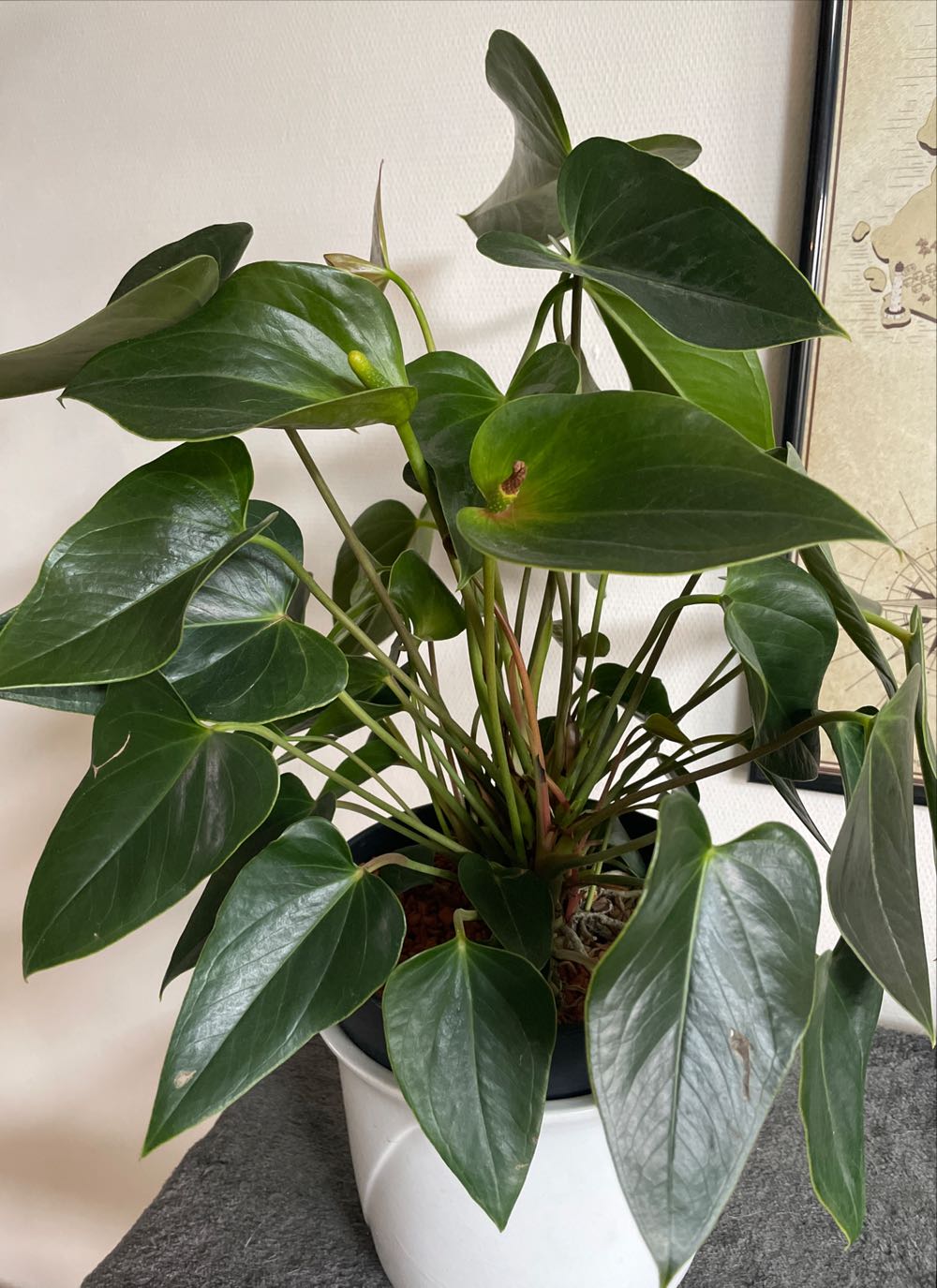 Sightseeing In London